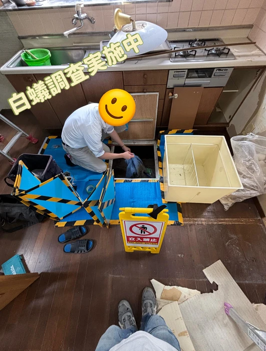 画像285