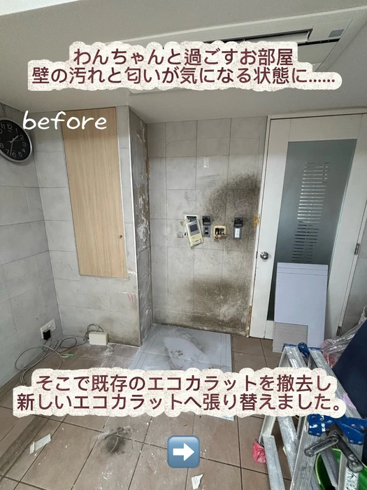 画像299